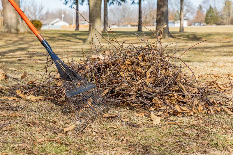 Overgrown Yard Cleanup Costs — Cost of Overgrown Yard Cleanup