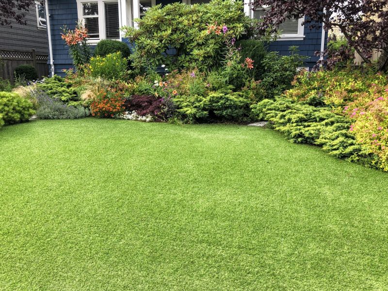 Overgrown Yard Cleanup Costs — Cost of Overgrown Yard Cleanup