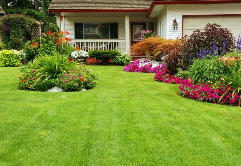 Overgrown Yard Cleanup Costs — Cost of Overgrown Yard Cleanup