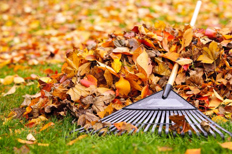 Fall Lawn Maintenance