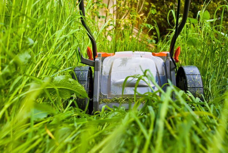 Products For Overgrown Yard Cleanups in use